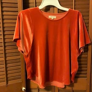 Madewell velvet top